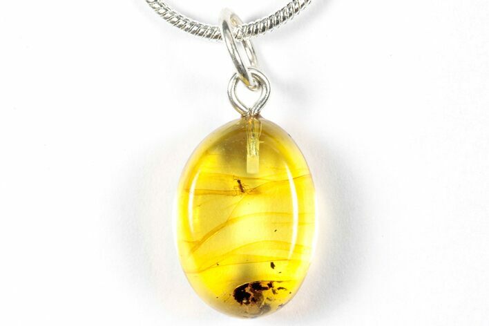 Polished Baltic Amber Pendant (Necklace) - Contains Fly! #358011